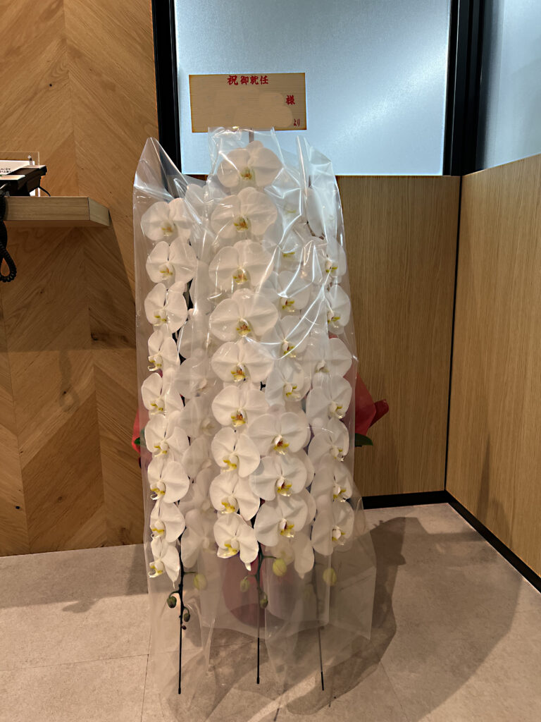 西新宿1丁目のオフィスビルへお届けした社長就任祝いの最高級白大輪胡蝶蘭3本立