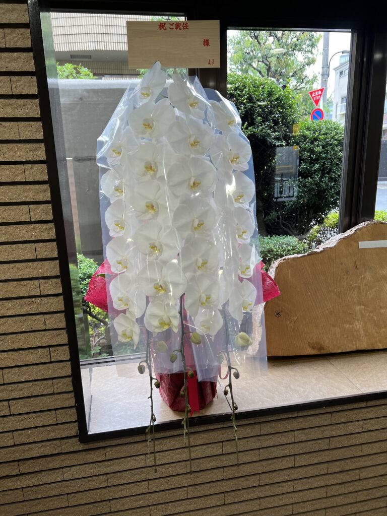 市ヶ谷砂土原町の造林会社様へ就任祝いとしてお届けした最高級白大輪胡蝶蘭3本立