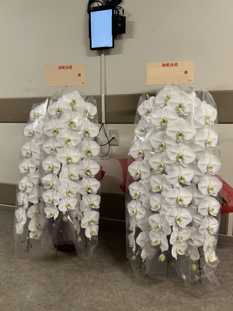 株式会社ホテルオークラ東京様へお届けした会長・社長就任祝いの白大輪胡蝶蘭3本立