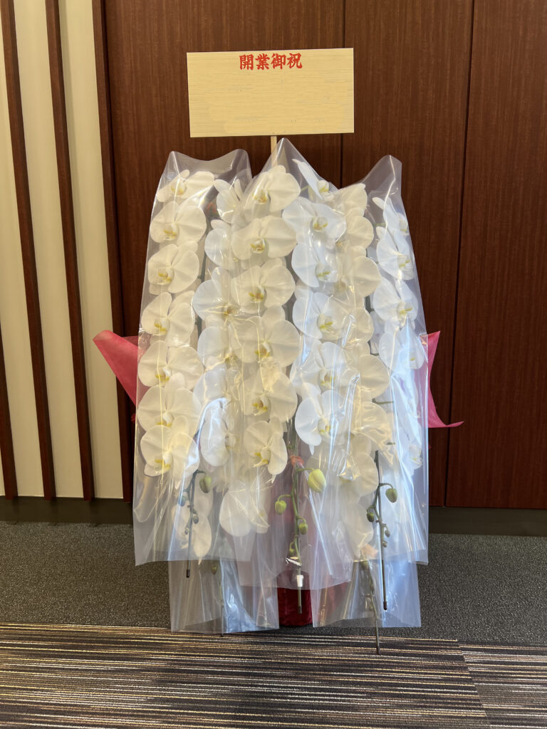 港区新橋へ開業祝いでお届けした白大輪胡蝶蘭5本立