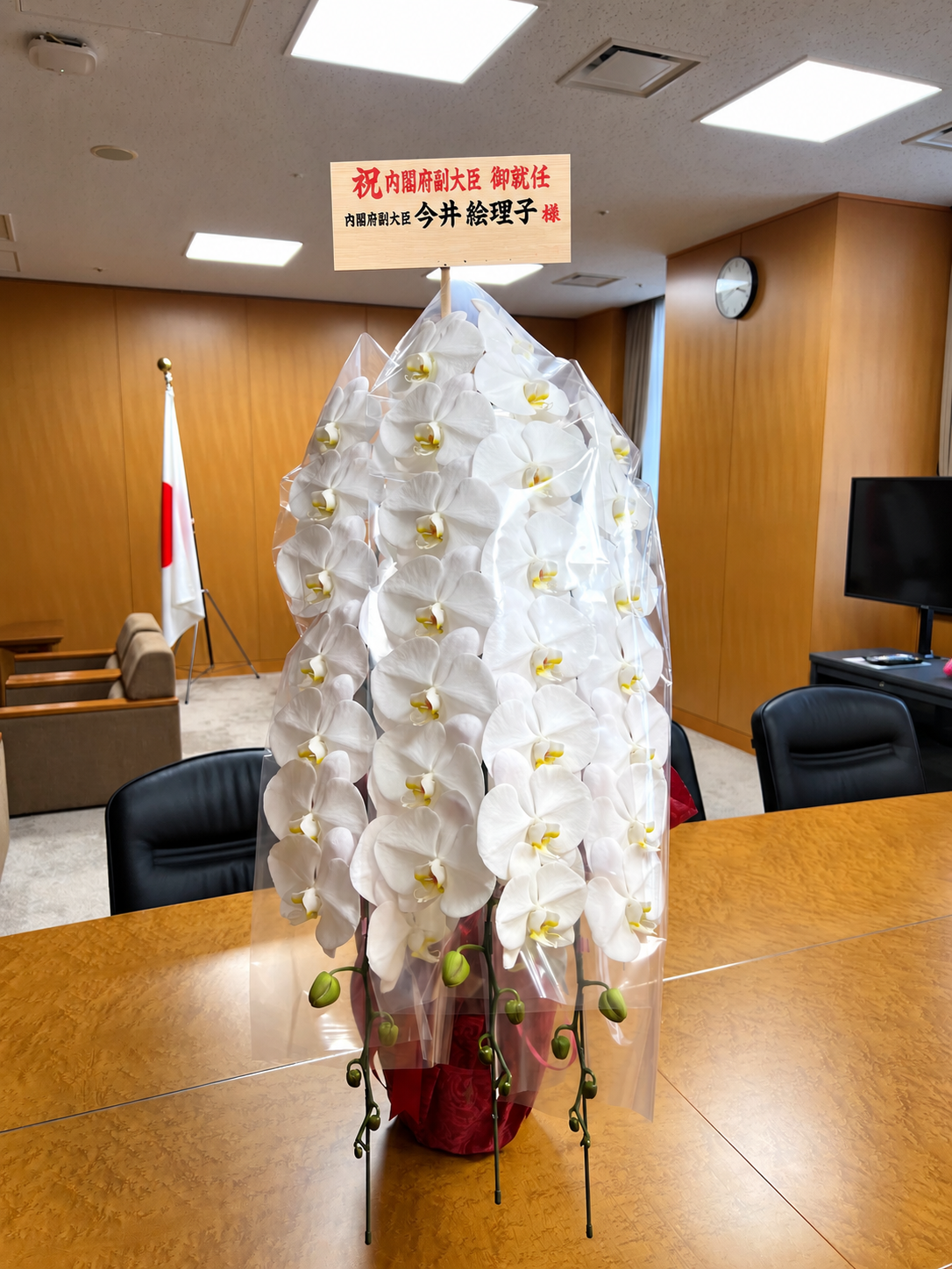 今井絵理子副大臣の御就任祝いで中央合同庁舎第8号館へお届けした白大輪胡蝶蘭