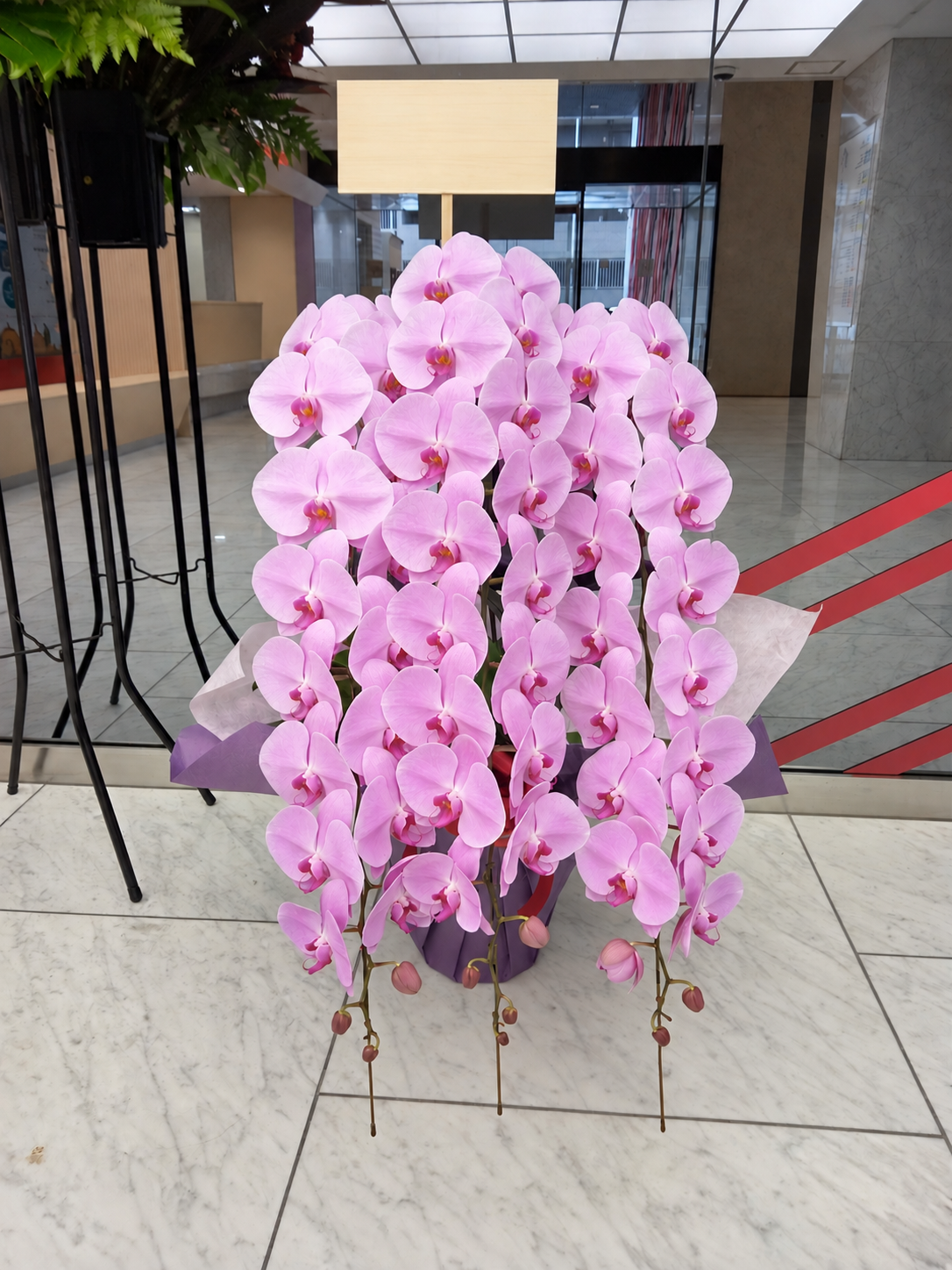 川崎市高津区へお祝いで配達したピンクの大輪胡蝶蘭3本立