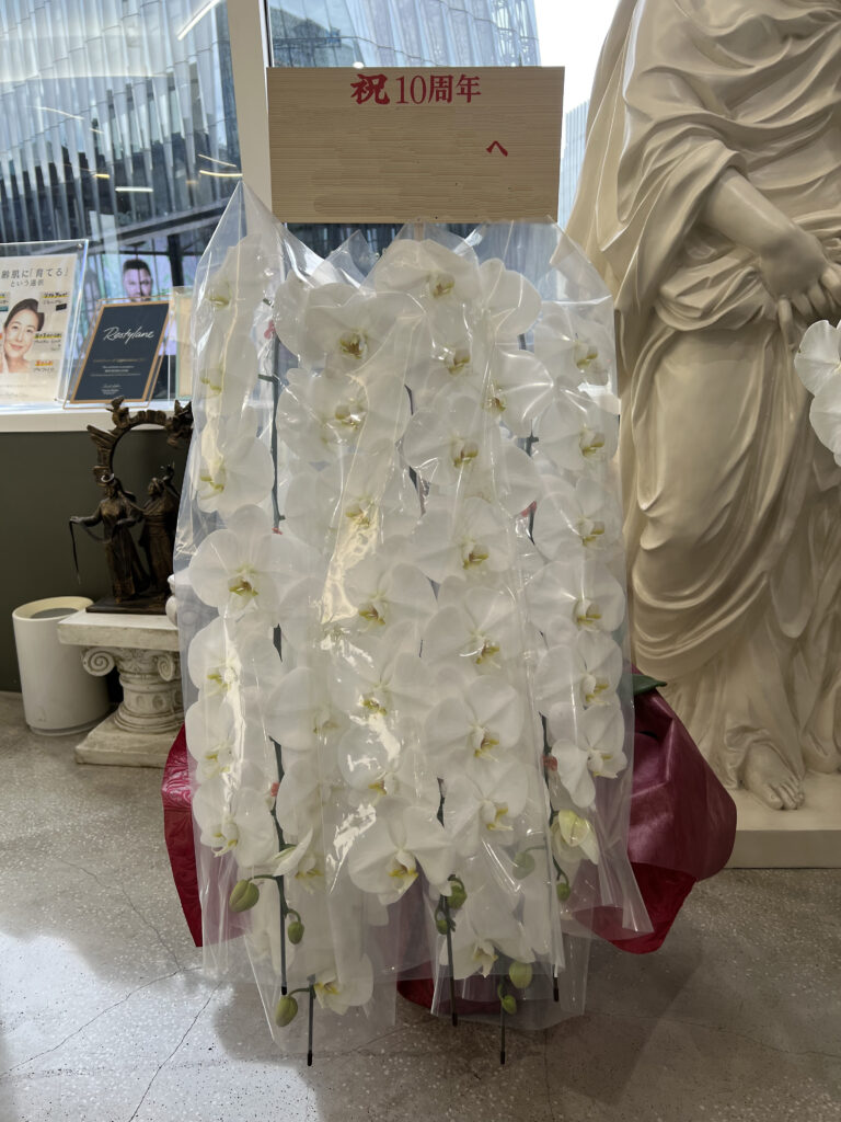 銀座の美容皮膚科へ10周年祝いで配達した白大輪胡蝶蘭5本立