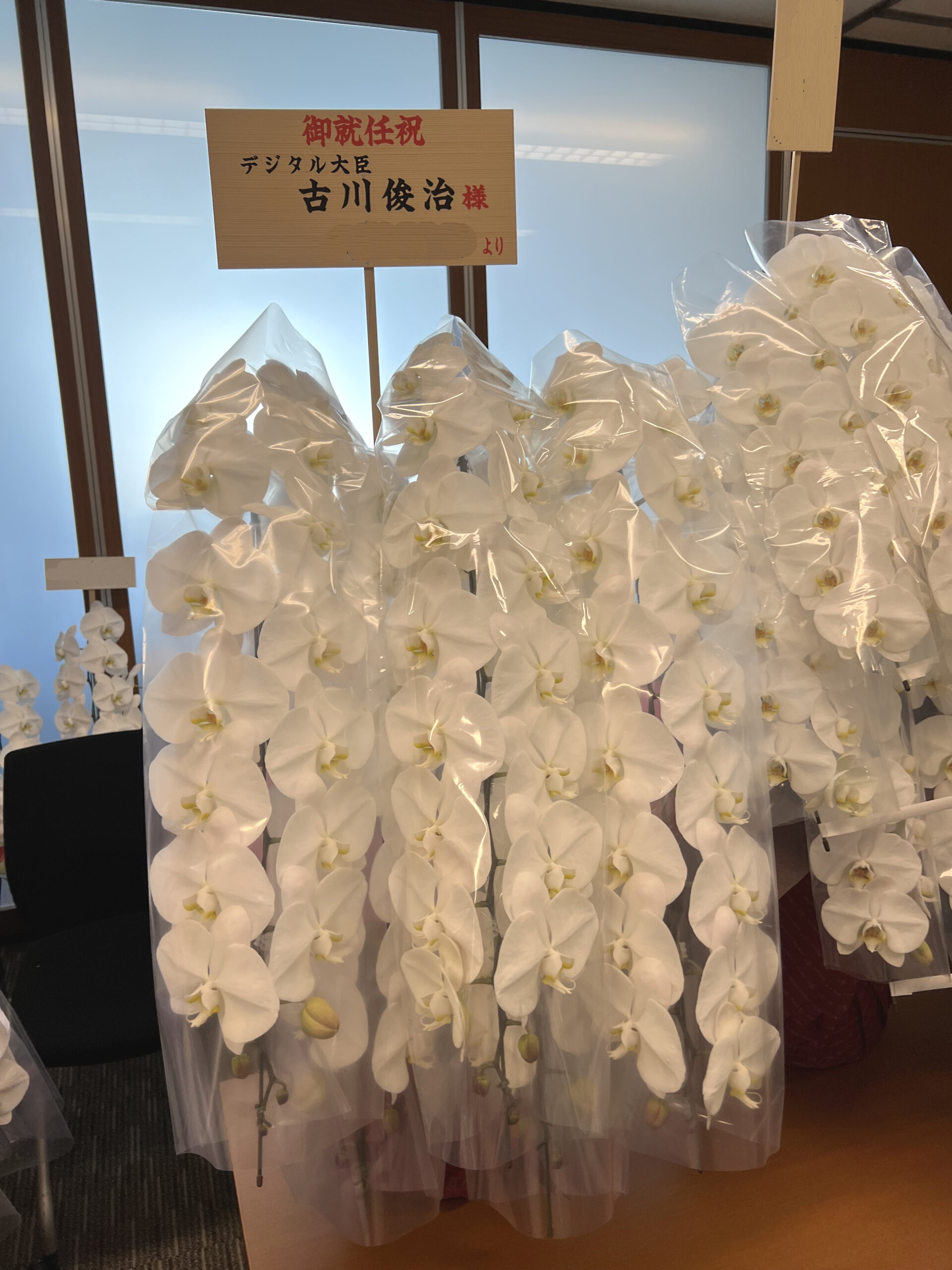 議員会館へお届けした御就任祝いの白大輪胡蝶蘭