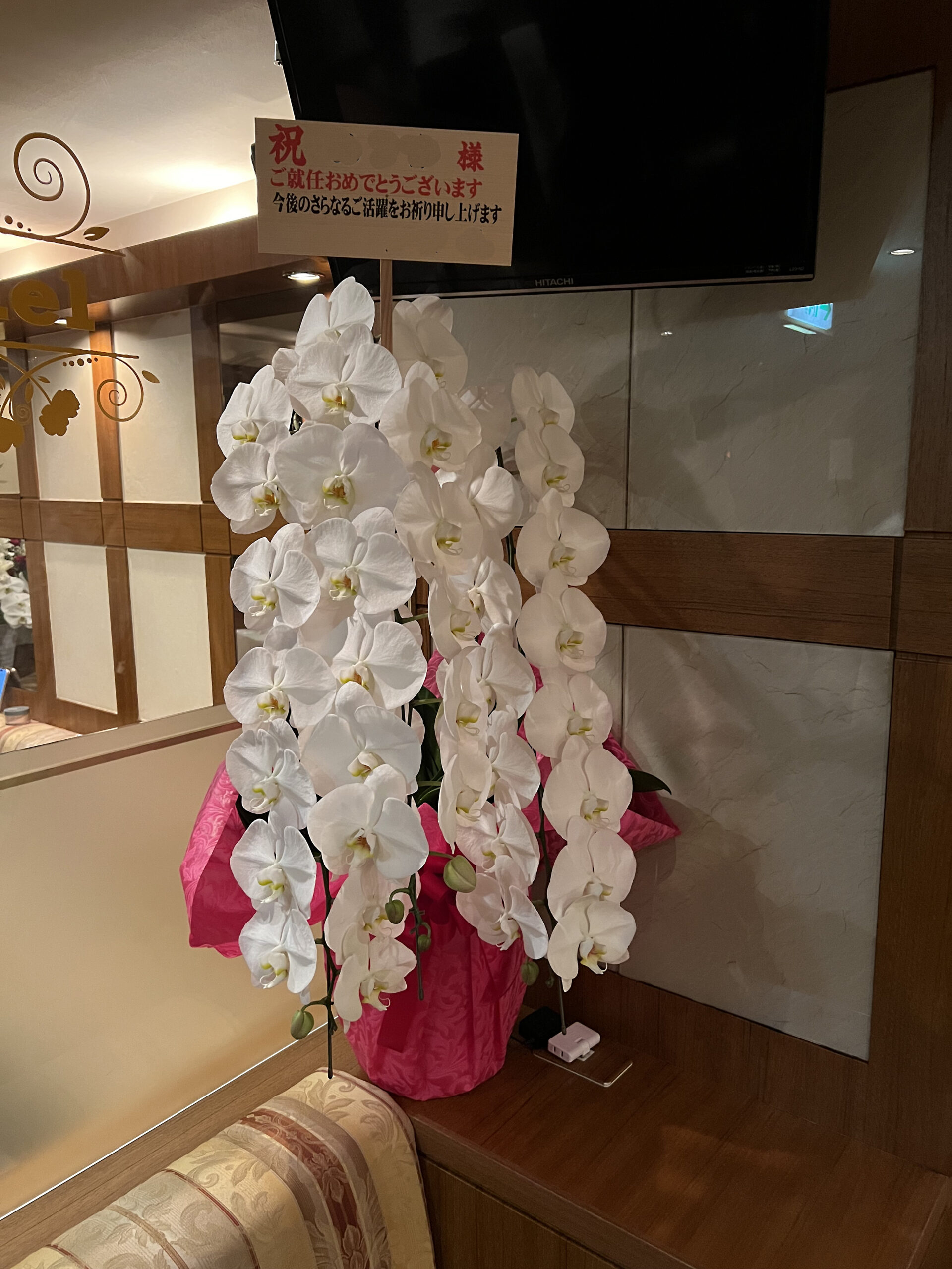 新宿歌舞伎町のママ就任祝いに即日配達した白大輪胡蝶蘭