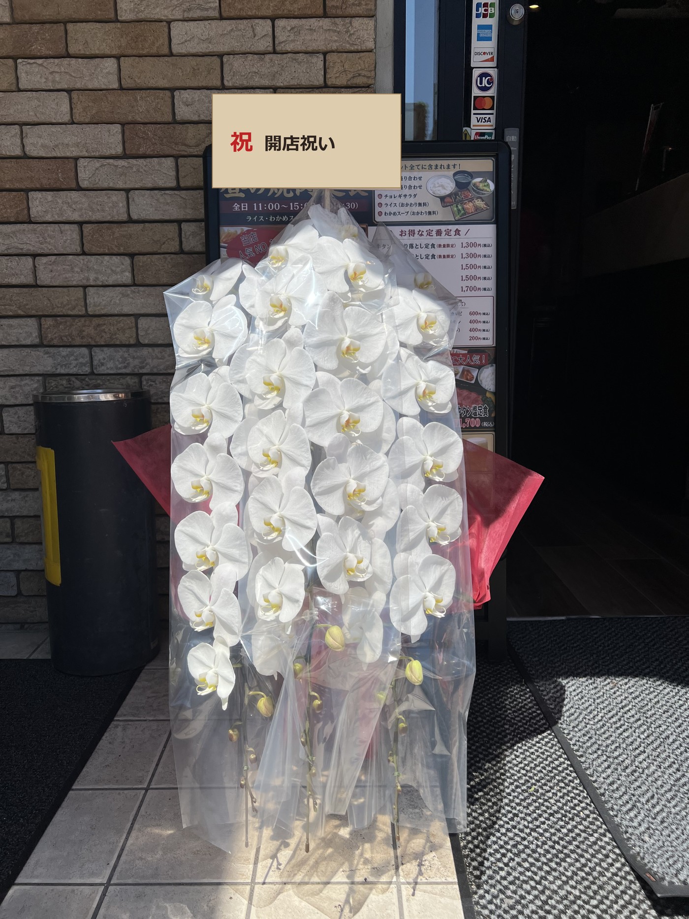新宿区百人町へ開店祝いでお届けした白大輪胡蝶蘭3本立