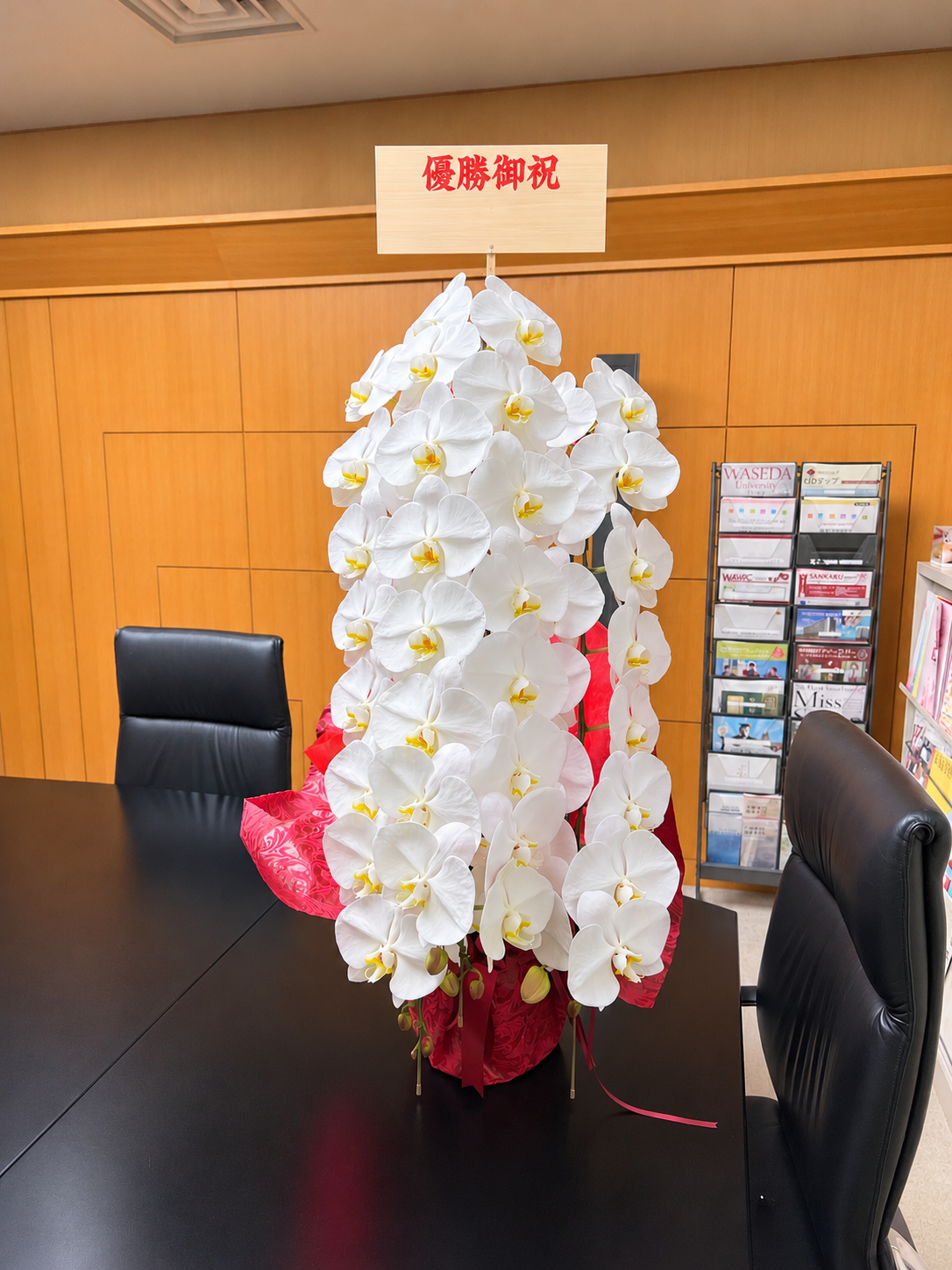 早稲田大学へ駅伝優勝祝いとして届けた白大輪胡蝶蘭3本立と「優勝御祝」の立札
